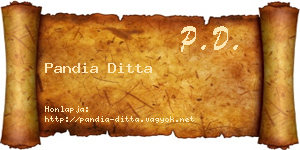 Pandia Ditta névjegykártya
